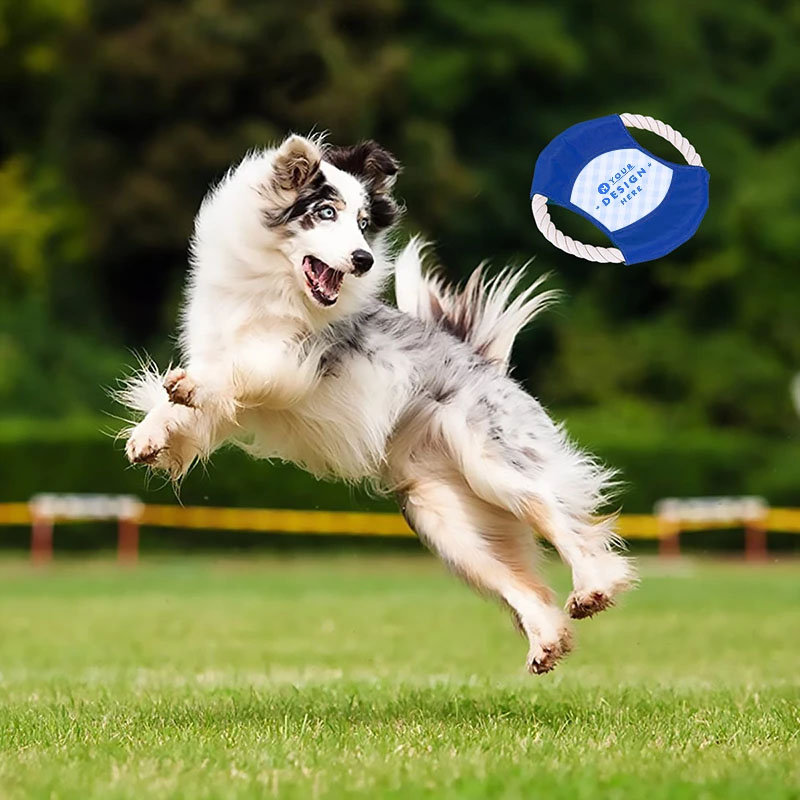 Rope Flyer Frisbee